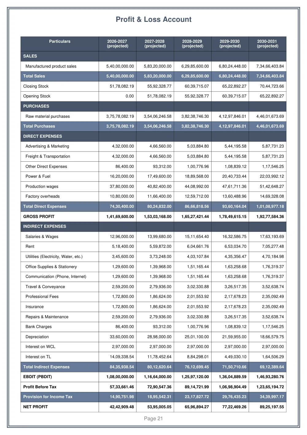 Profit & Loss Account page from the sample project report